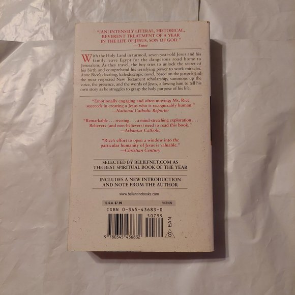 Christ the Lord Out of Egypt - Picture 2 of 4